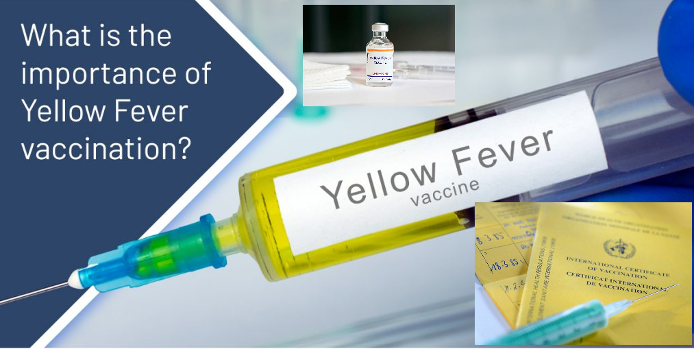 All details about Yellow fever Vaccine and Lis of Yellow Fever Vaccination Centres in India